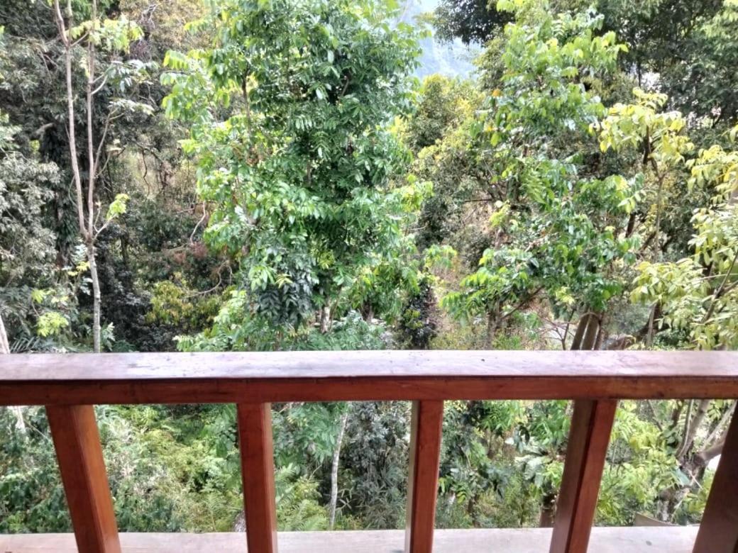 On The Rocks Bungalows, Restaurant And Jungle Trekking Tours Bukit Lawang Exterior foto