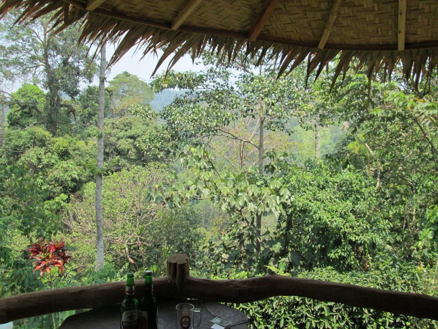 On The Rocks Bungalows, Restaurant And Jungle Trekking Tours Bukit Lawang Exterior foto