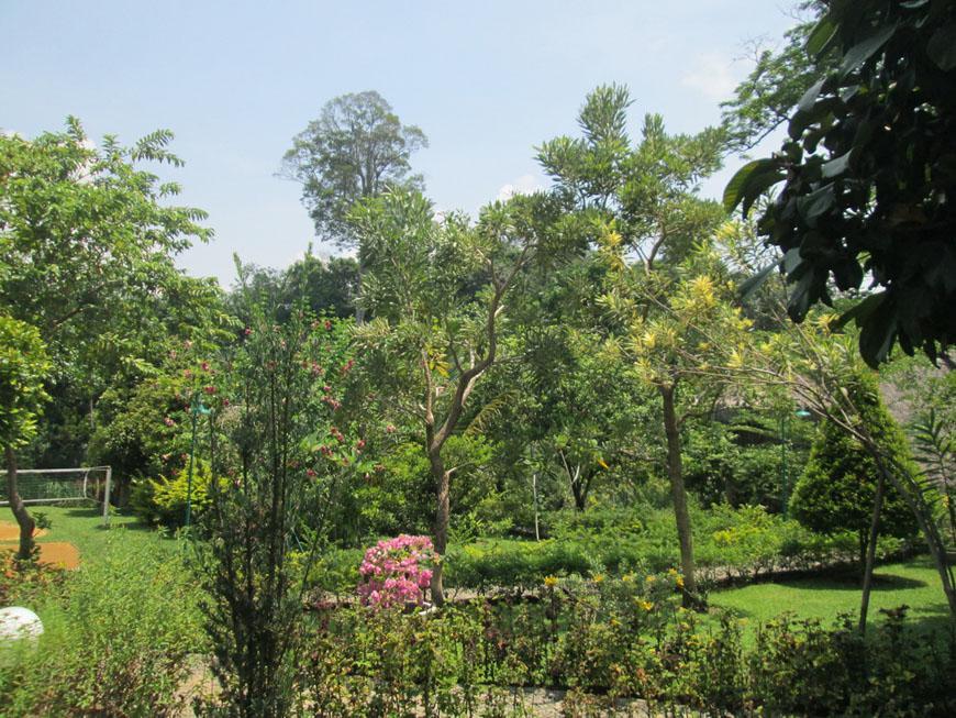 On The Rocks Bungalows, Restaurant And Jungle Trekking Tours Bukit Lawang Exterior foto